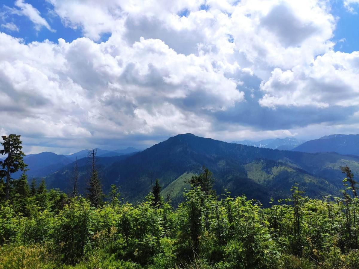 Western Tatras Slovakia Oravsky Biely Potok المظهر الخارجي الصورة