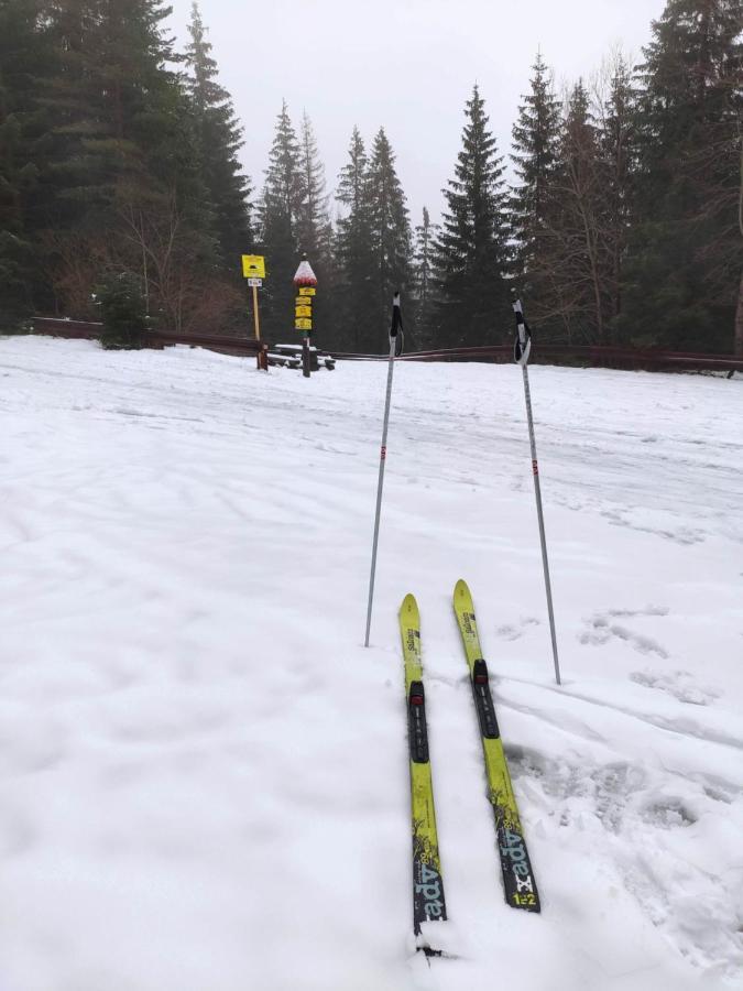 Western Tatras Slovakia Oravsky Biely Potok المظهر الخارجي الصورة